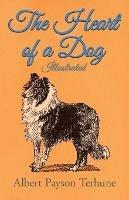 The Heart of a Dog - Illustrated - Albert Payson Terhune - cover