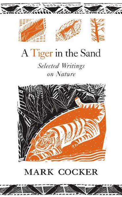 A Tiger in the Sand