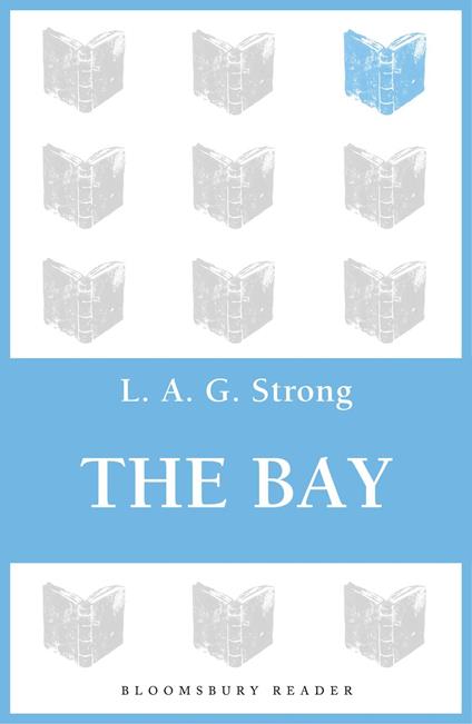 The Bay