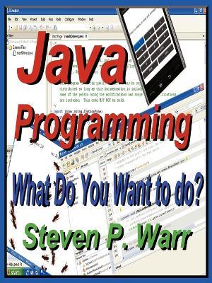 Java Programming: What Do You Want To Do? - Steven P Warr - cover