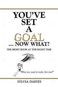 You've Set a Goal ... Now What?: The Right Book at the Right Time - Sylvia Daines - cover