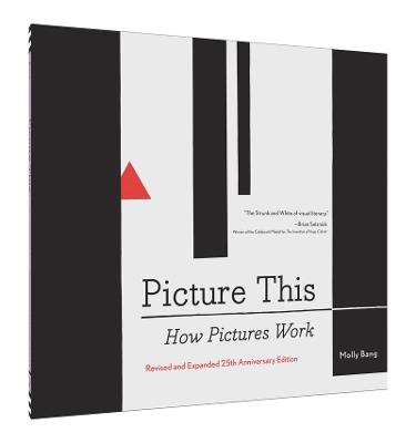 Picture This: How Pictures Work - cover