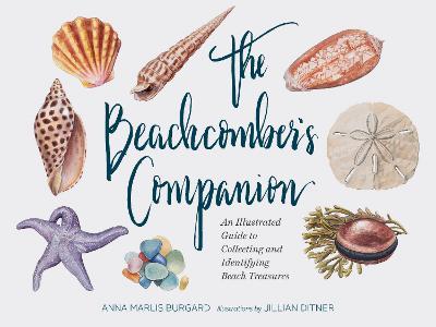 Beachcomber's Companion: An Illustrated Guide to Collecting and Identifying Beach Treasures - Jillian Dittner - cover