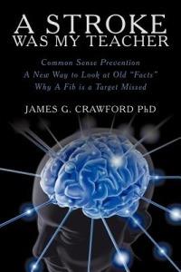 A Stroke Was My Teacher - James G Crawford - cover