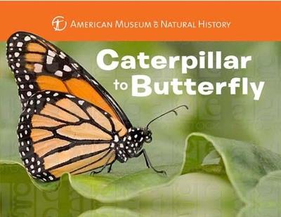 Caterpillar to Butterfly - American Museum of Natural History,Melissa Stewart - cover
