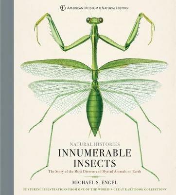 Innumerable Insects: The Story of the Most Diverse and Myriad Animals on Earth - Michael S. Engel - cover