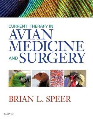 Current Therapy in Avian Medicine and Surgery - Brian Speer - cover