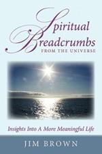 Spiritual Breadcrumbs from the Universe: Insights Into A More Meaningful Life