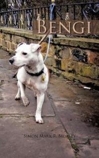 Bengi - Simon Mark R. Morley - cover