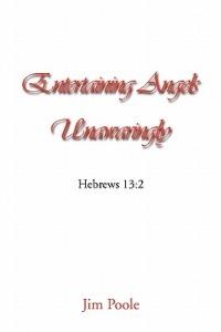 Entertaining Angels Unawaringly - Jim Poole - cover