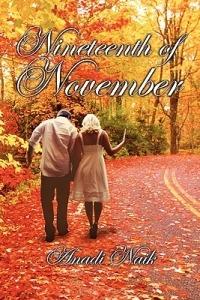 Nineteenth of November - Anadi Naik - cover