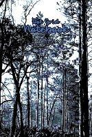 Dot Grid Notebook: 6x9 Journal With Dot Grid For Lists, Drawing, Making Graphs and More - Korey's World - cover