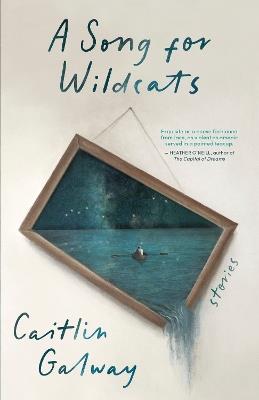 A Song for Wildcats: Stories - Caitlin Galway - cover