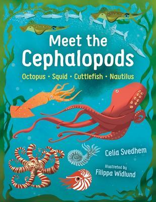 Meet the Cephalopods: Octopus, Squid, Cuttlefish, Nautilus - Celia Svedhem - cover