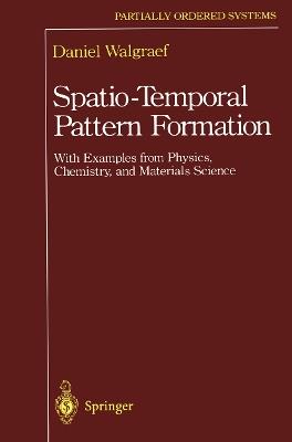 Spatio-Temporal Pattern Formation: With Examples from Physics, Chemistry, and Materials Science - Daniel Walgraef - cover