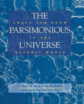 The Parsimonious Universe: Shape and Form in the Natural World - Stefan Hildebrandt,Anthony Tromba - cover