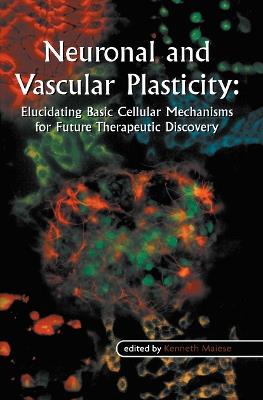 Neuronal and Vascular Plasticity: Elucidating Basic Cellular Mechanisms for Future Therapeutic Discovery - cover