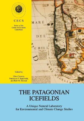 The Patagonian Icefields: A Unique Natural Laboratory for Environmental and Climate Change Studies - cover