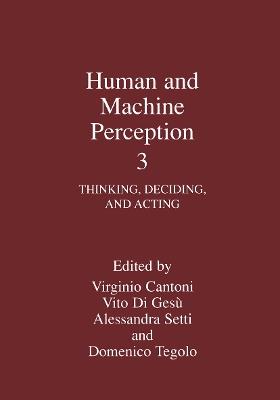 Human and Machine Perception 3: Thinking, Deciding, and Acting - cover