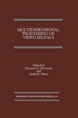 Multidimensional Processing of Video Signals - cover