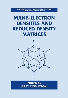 Many-Electron Densities and Reduced Density Matrices - cover