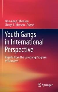 Youth Gangs in International Perspective: Results from the Eurogang Program of Research - cover