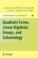 Quadratic Forms, Linear Algebraic Groups, and Cohomology