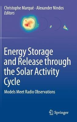 Energy Storage and Release through the Solar Activity Cycle: Models Meet Radio Observations - cover