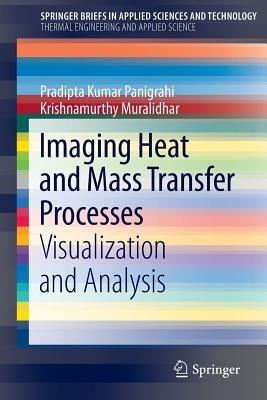 Imaging Heat and Mass Transfer Processes: Visualization and Analysis - Pradipta Kumar Panigrahi,Krishnamurthy Muralidhar - cover