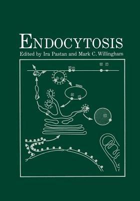 Endocytosis - cover