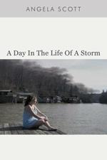 A Day in the Life of a Storm