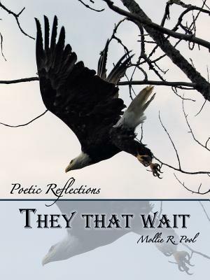 They That Wait: Poetic Reflections - Mollie R Pool - cover