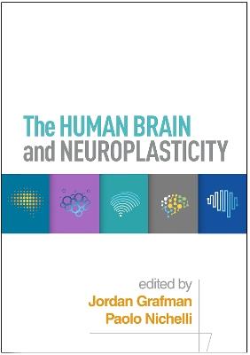 The Human Brain and Neuroplasticity - cover