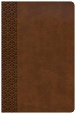CSB Everyday Study Bible, British Tan LeatherTouch - CSB Bibles by Holman CSB Bibles by Holman - cover