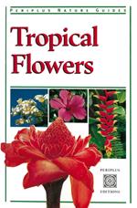 Tropical Flowers