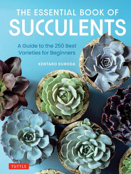 Essential Book of Succulents