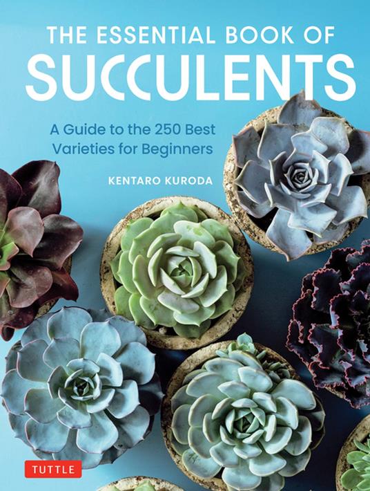 Essential Book of Succulents