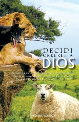 Decidi Creerle a Dios: No Perdais, Pues, Vuestra Confianza, Que Tiene Grande Galardon; Porque OS Es Necesaria La Paciencia, Para Que Habiend - Mariel Enciso - cover
