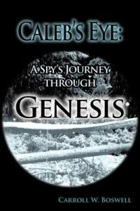 Caleb's Eye: A Spy's Journey Through Genesis - Carroll W. Boswell - cover