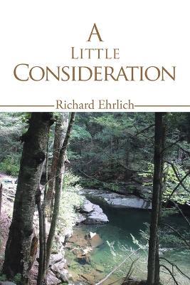 A Little Consideration - Richard Ehrlich - cover