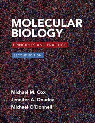 Molecular Biology: Principles and Practice - Michael M. Cox - cover