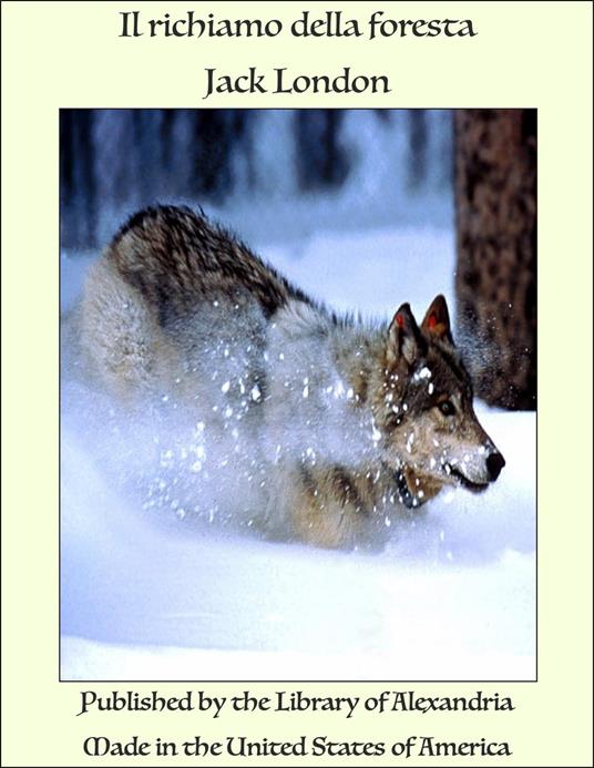 Il richiamo della foresta - Jack London - ebook