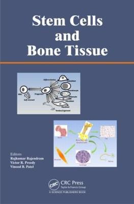 Stem Cells and Bone Tissue - cover