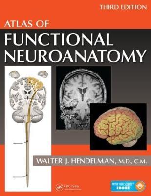 Atlas of Functional Neuroanatomy - Walter Hendelman M.D. - cover