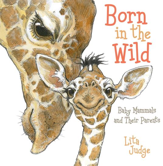 Born in the Wild - Lita Judge - ebook