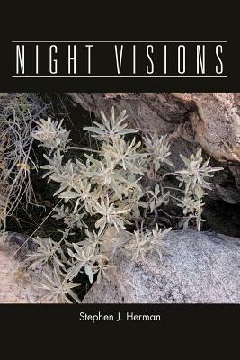 Night Visions - Stephen J Herman - cover