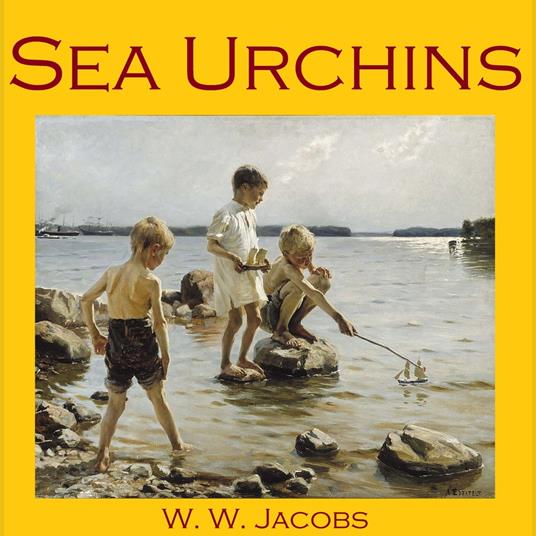 Sea Urchins