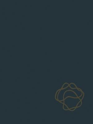 Handbook of Generalized Gas Dynamics - Robert P. Benedict - cover