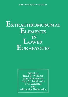 Extrachromosomal Elements in Lower Eukaryotes - cover