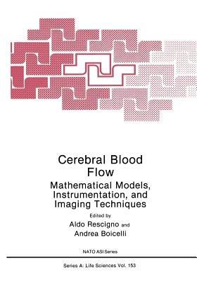 Cerebral Blood Flow: Mathematical Models, Instrumentation, and Imaging Techniques - cover